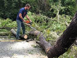 Best Seasonal Cleanup (Spring/Fall)  in Raymond, WI